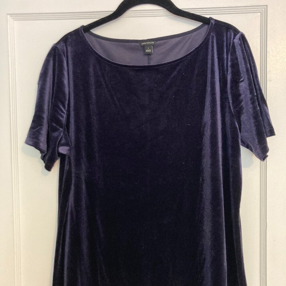 Ann Taylor Navy Velvet Top (Size Large)